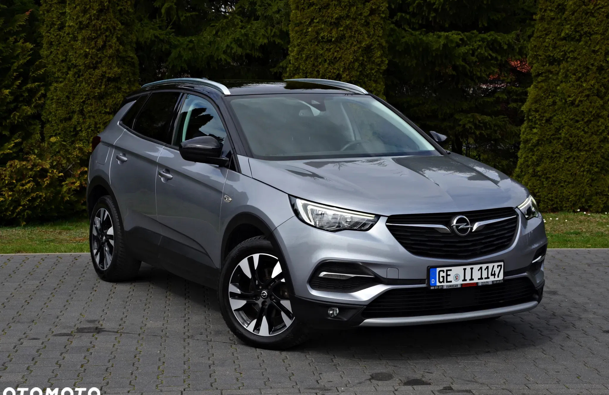 opel żychlin Opel Grandland X cena 65900 przebieg: 186000, rok produkcji 2019 z Żychlin